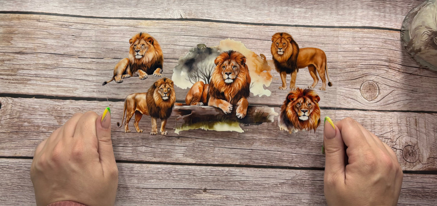Lions