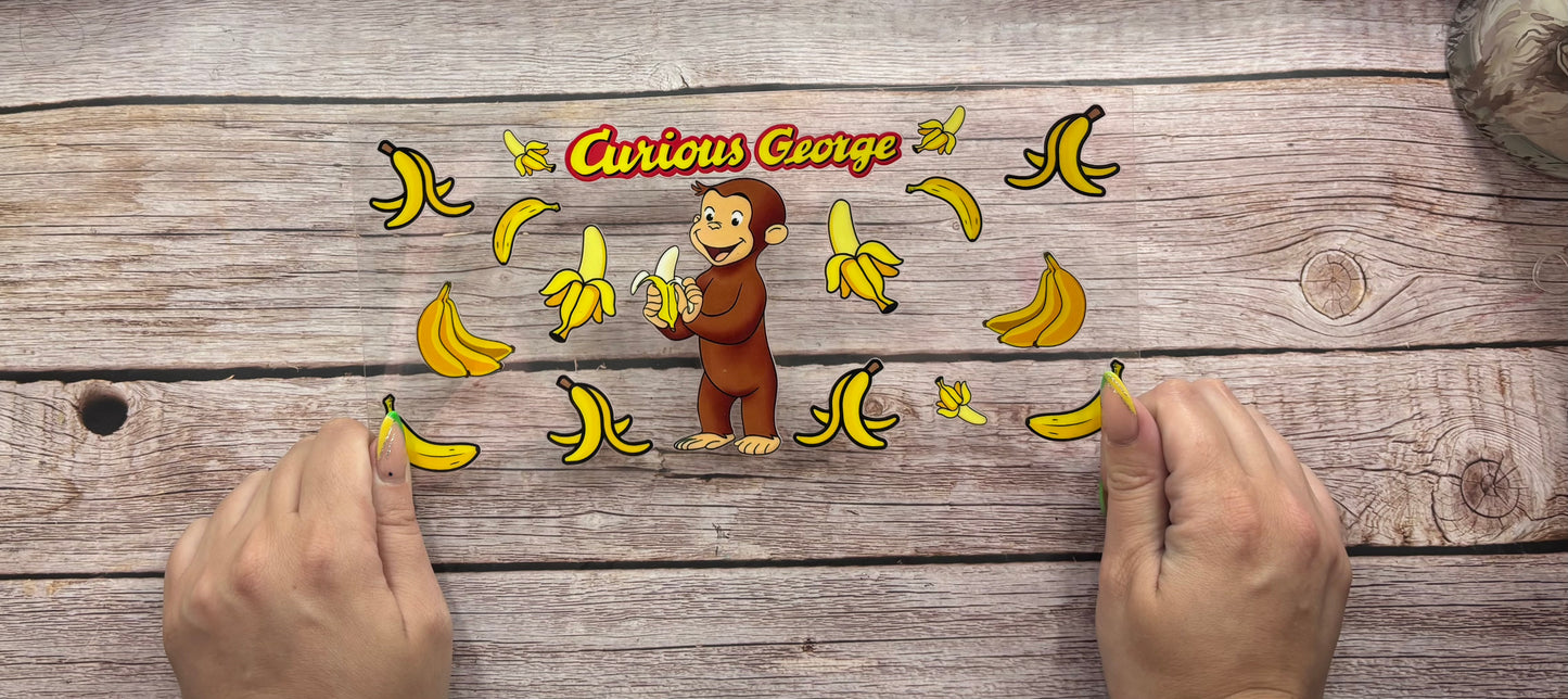 Curious monkey