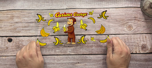 Curious monkey