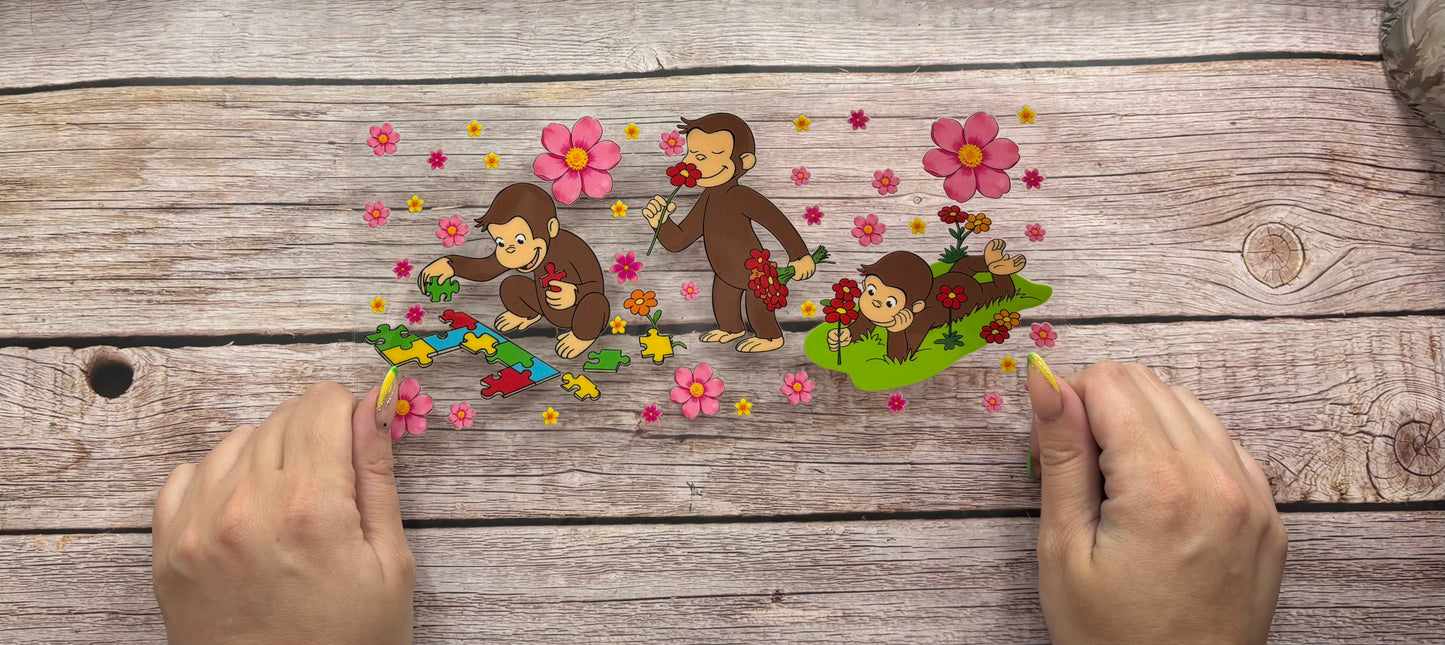 Curious monkey