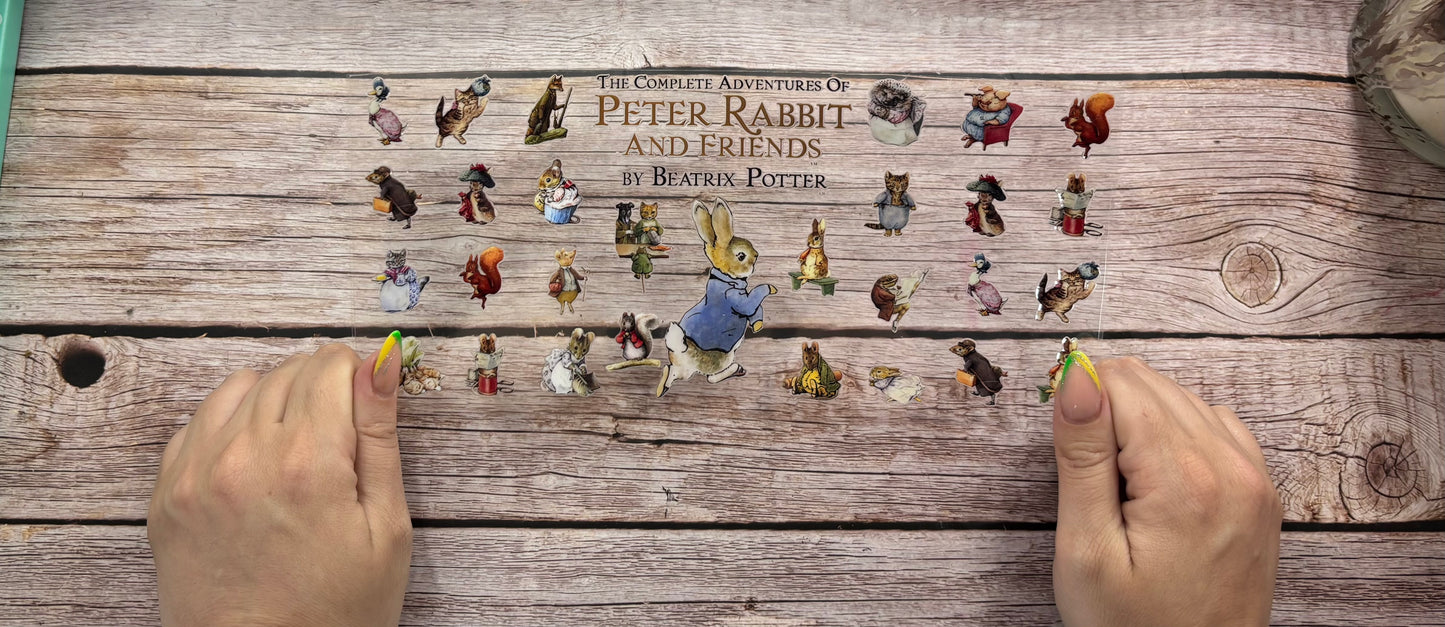 Little rabbit