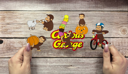 Curious Monkey