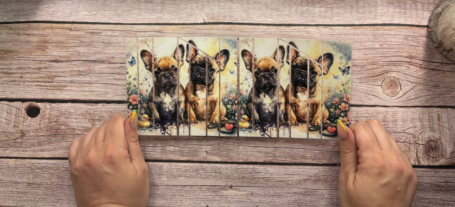 Dogs