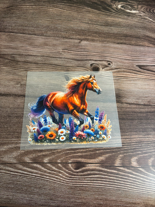 Horse