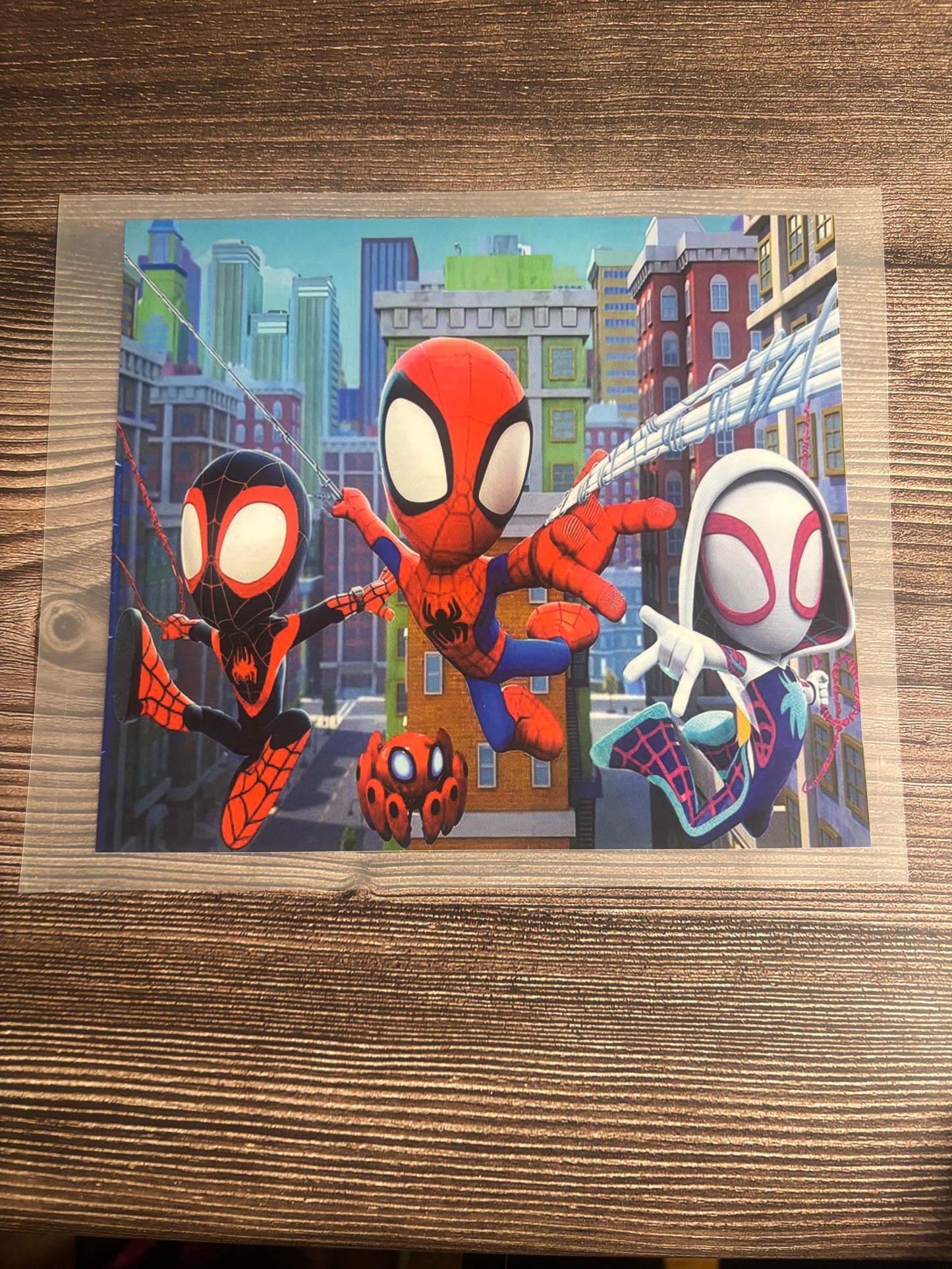 Spider web