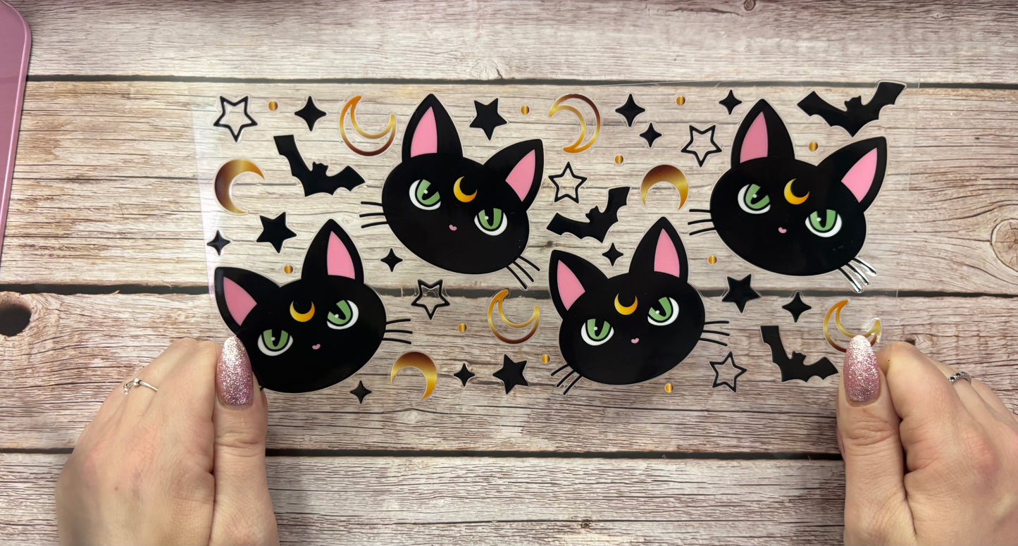 Black cat
