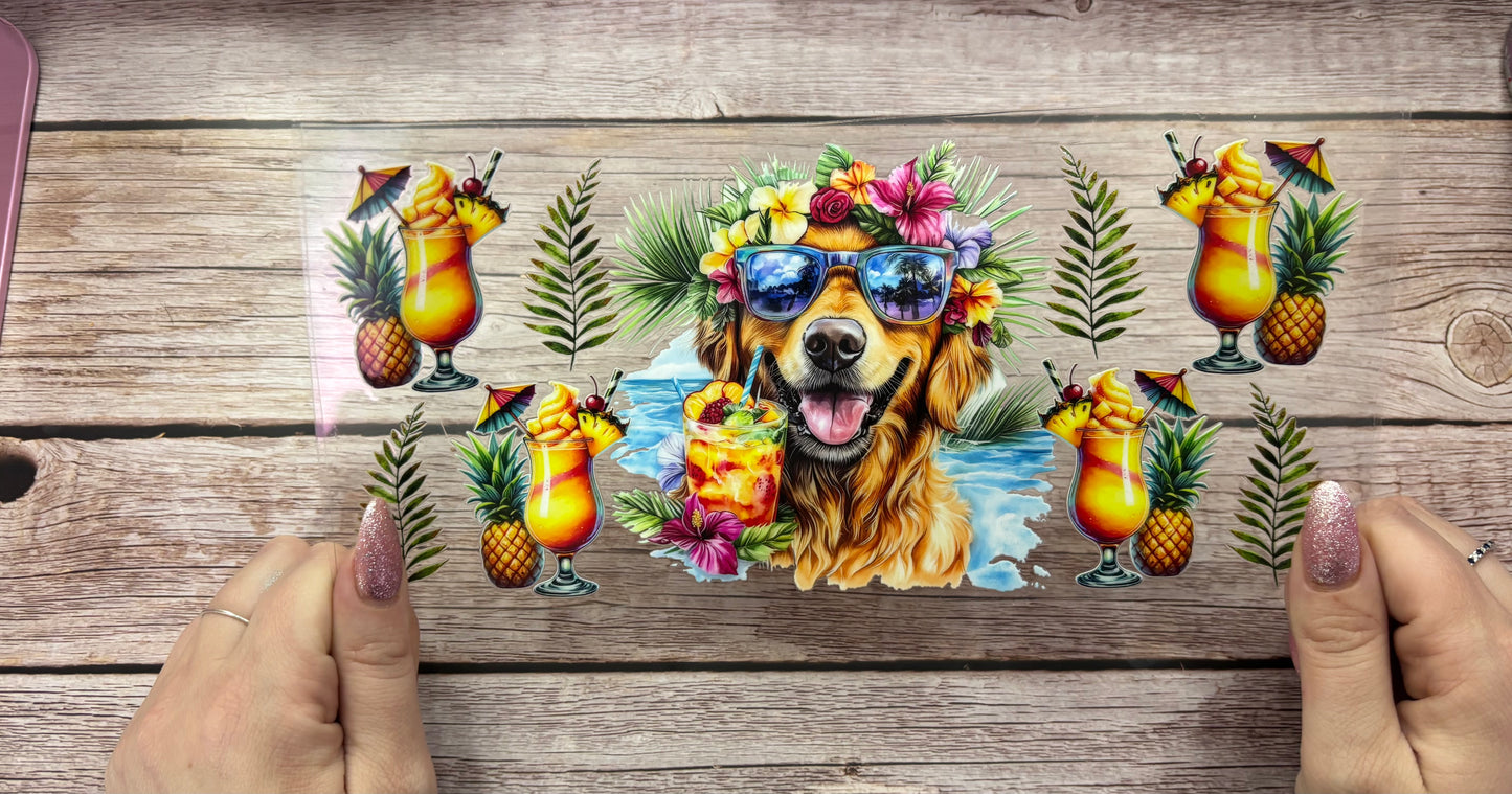 Summer dog