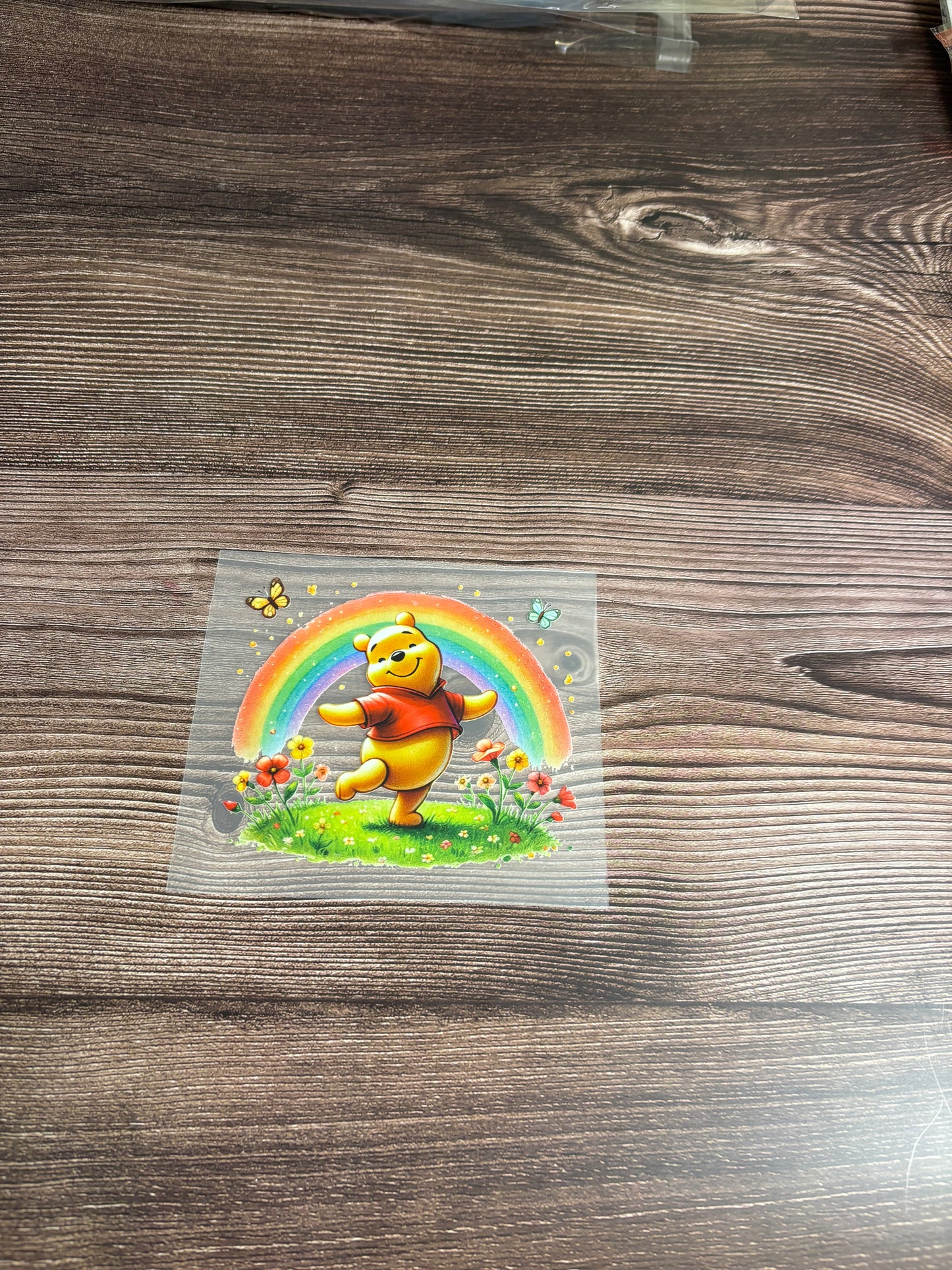 Honey bear rainbow HT
