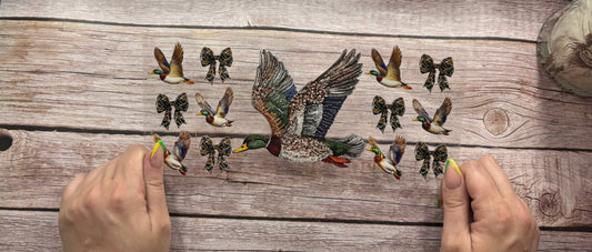 Ducks