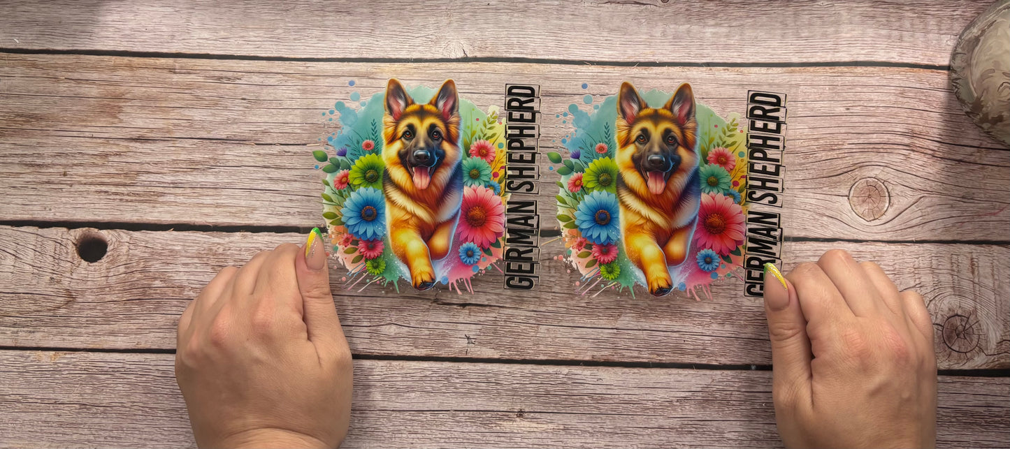 Dogs