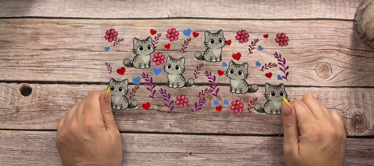 Cats