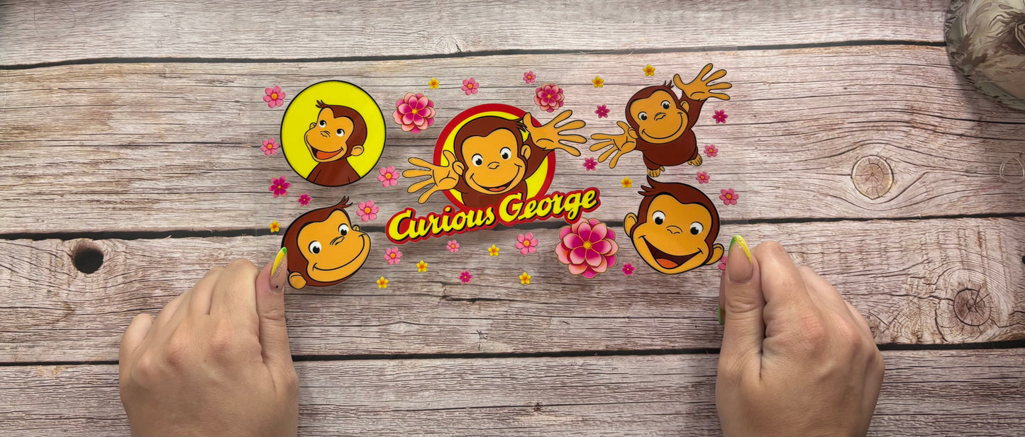 Curious monkey
