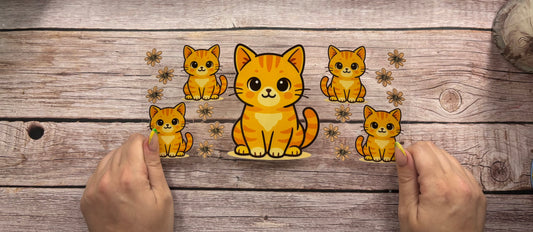 Cats