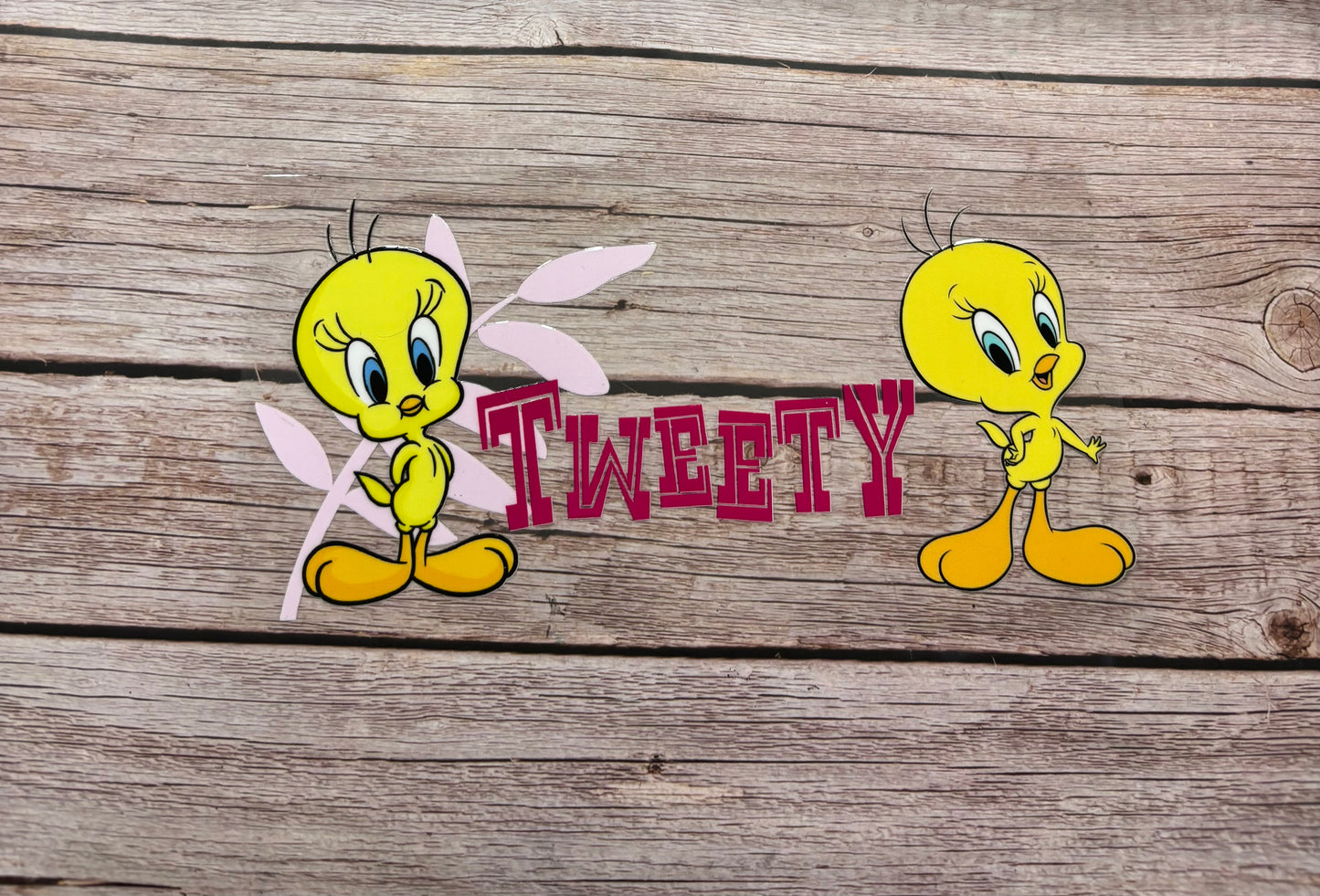 Loony Toons