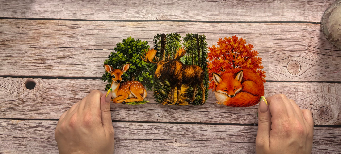 Deer