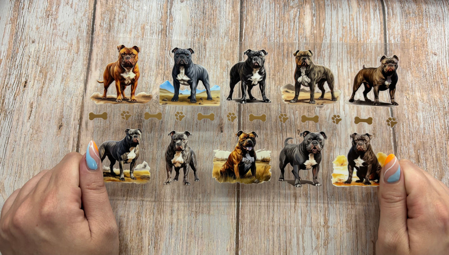 Dogs