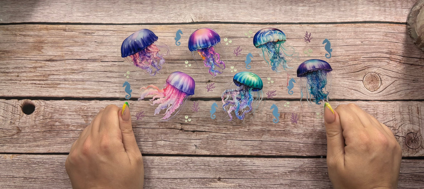 Jellyfish