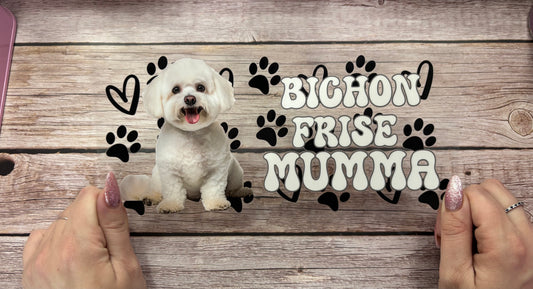Bichon frise mumma