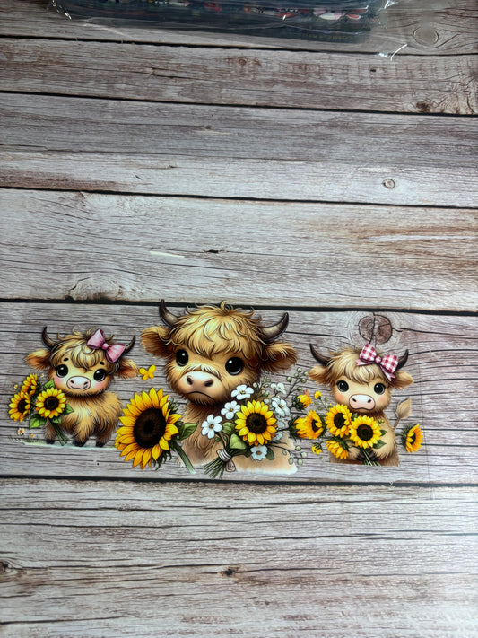 Highland cow sunflowers