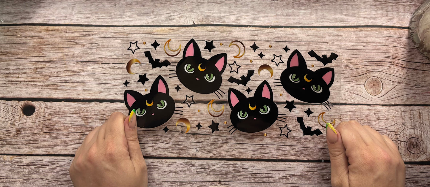 Cats