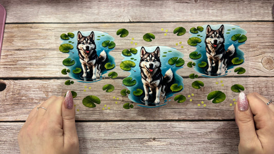 Husky