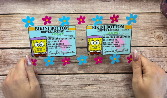 Driving licence