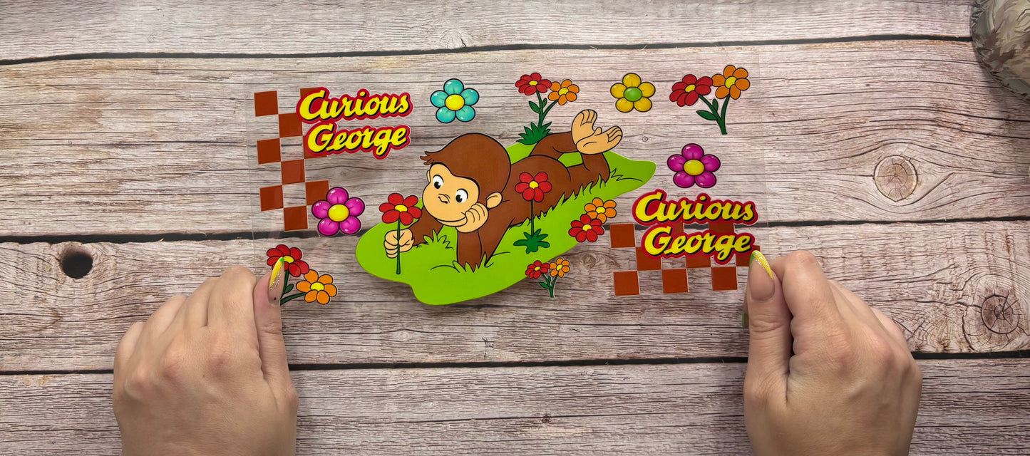 Curious monkey