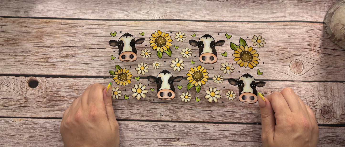 Cows