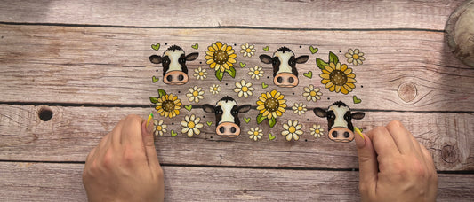 Cows