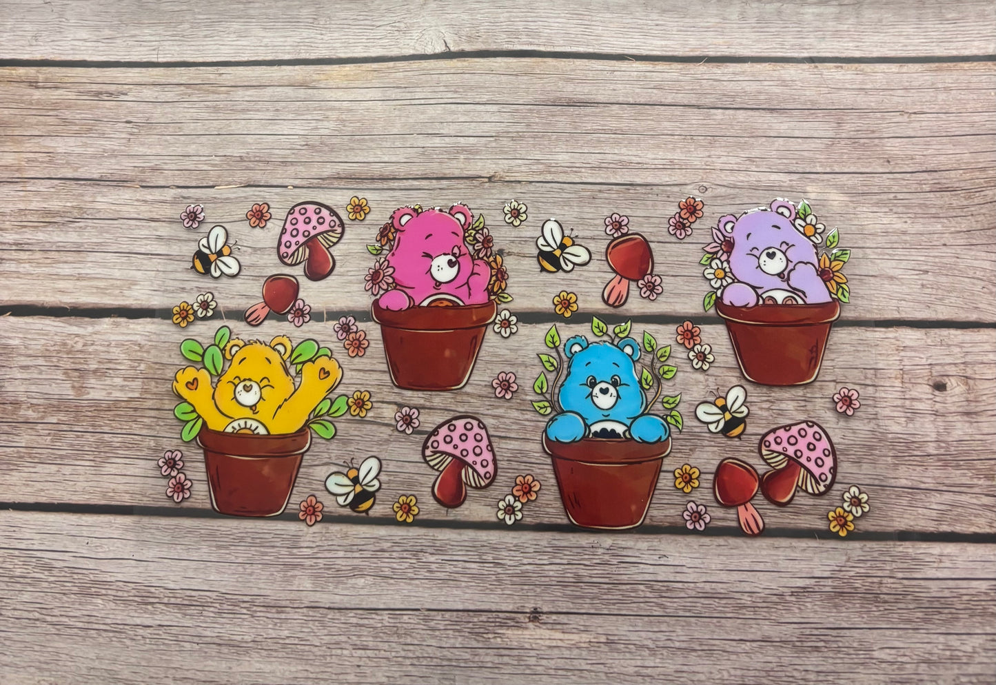 Rainbow bears