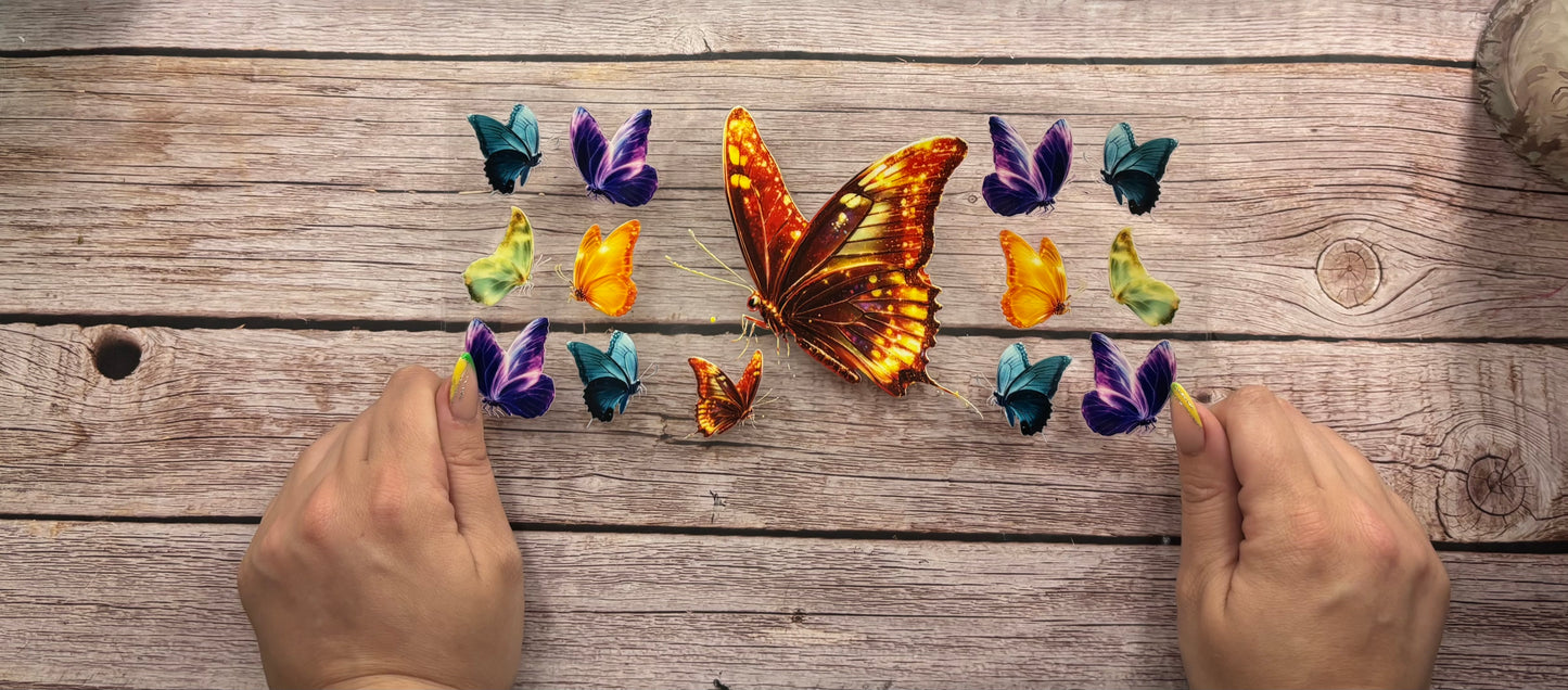 Butterfly