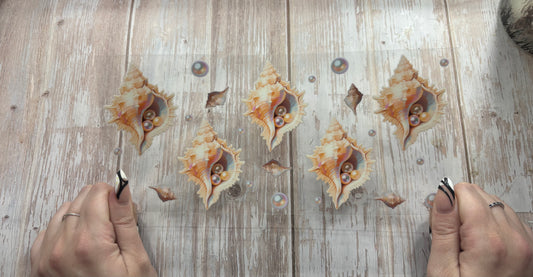 Crouch shells
