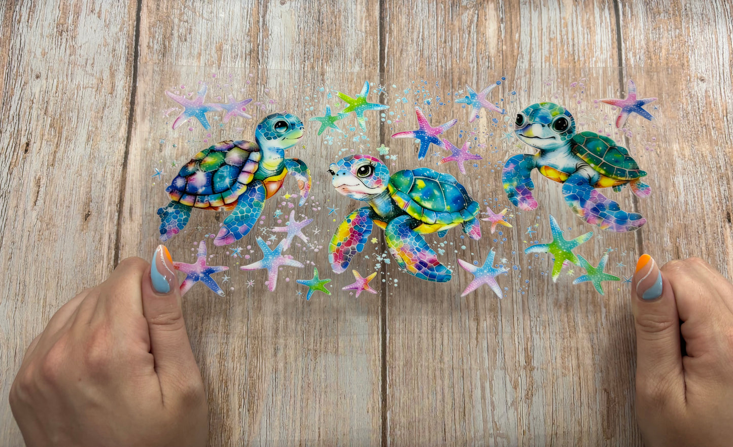 Sea turtle