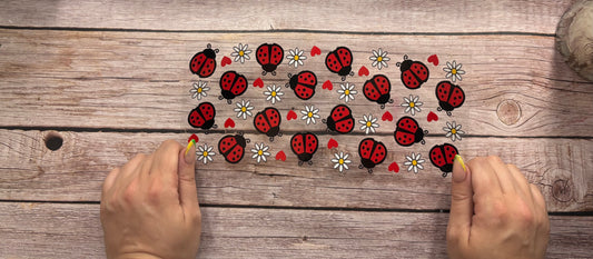 Ladybird