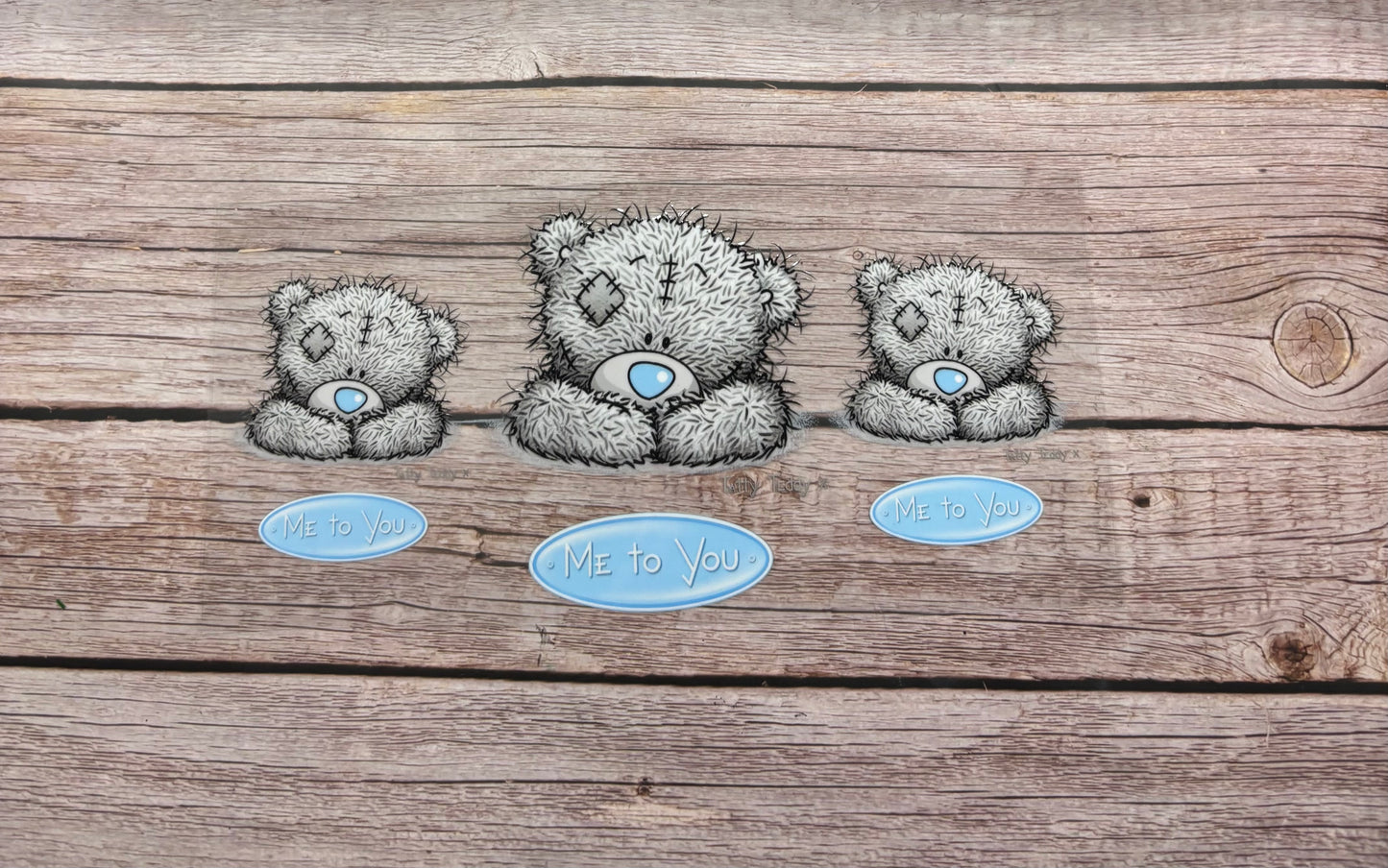 Tatty Teddy