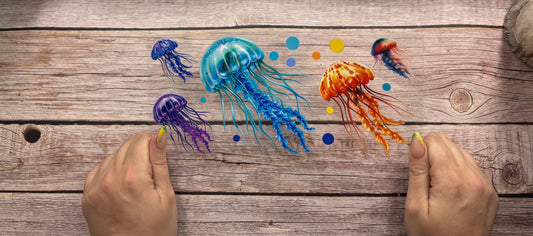 Jellyfish