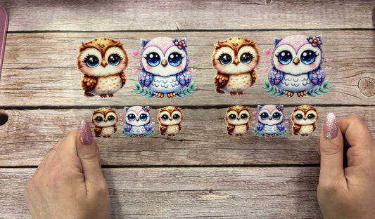 Owl