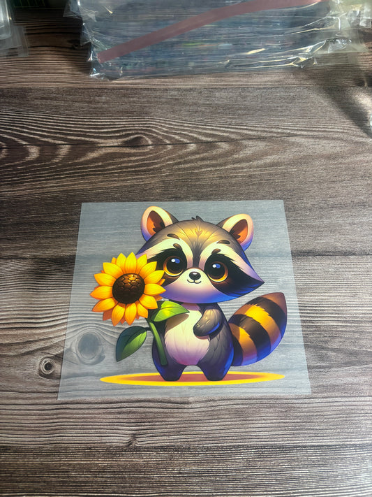 Sunflower raccoon