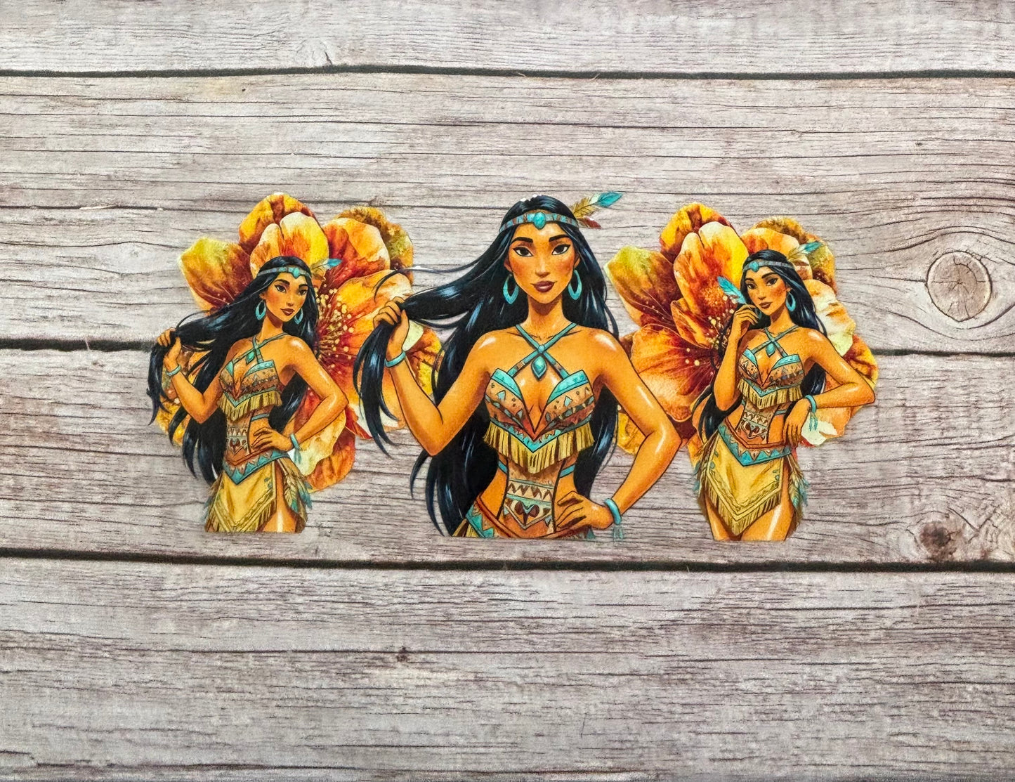 The wind spirit princess
