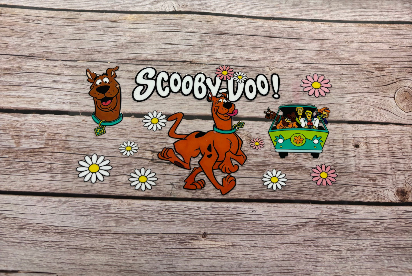 Scoob Snacks