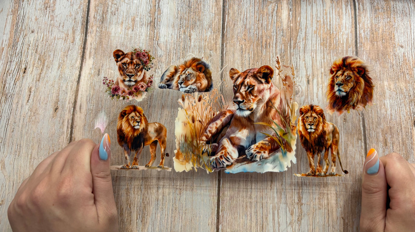 Lion