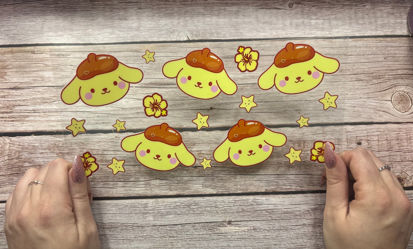 Sweet star puppy